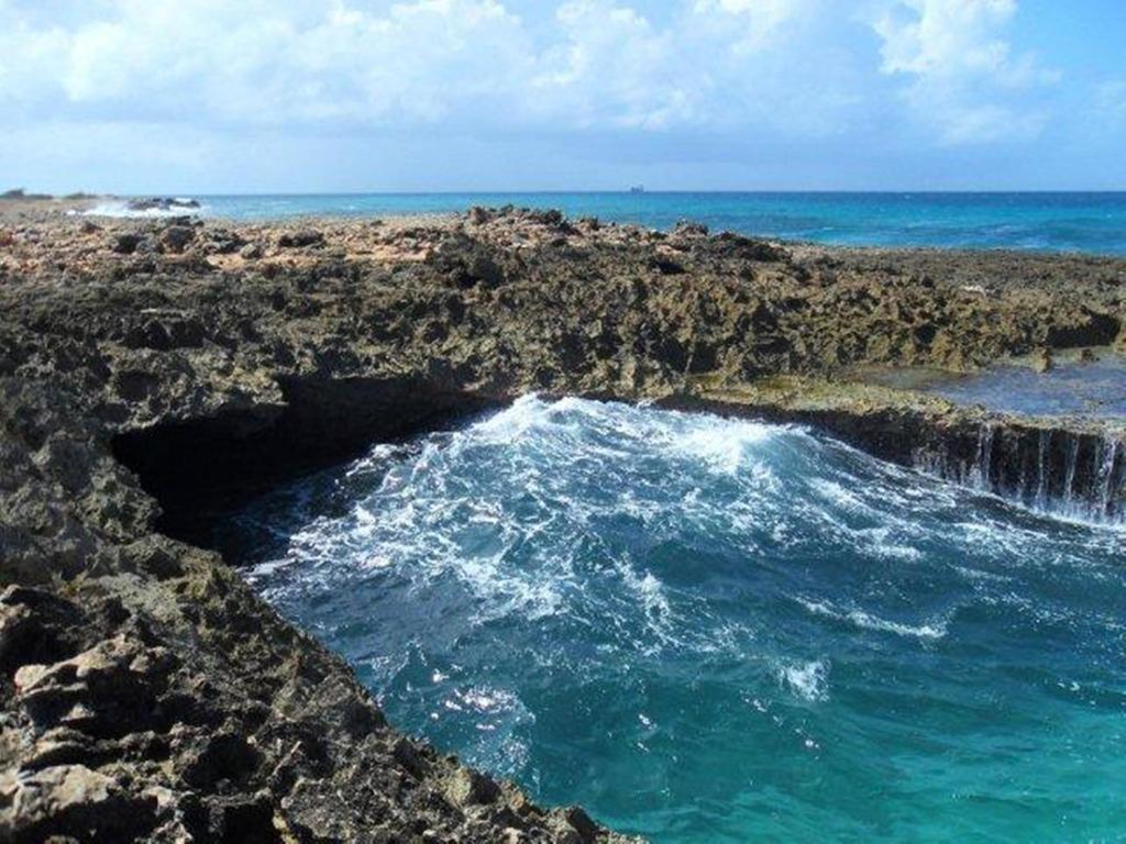Aruba Cunucu Residence Palm Beach Exterior foto